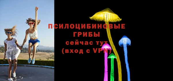 мескалин Алексин