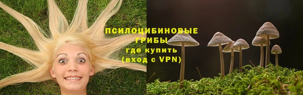 МДПВ Алексеевка